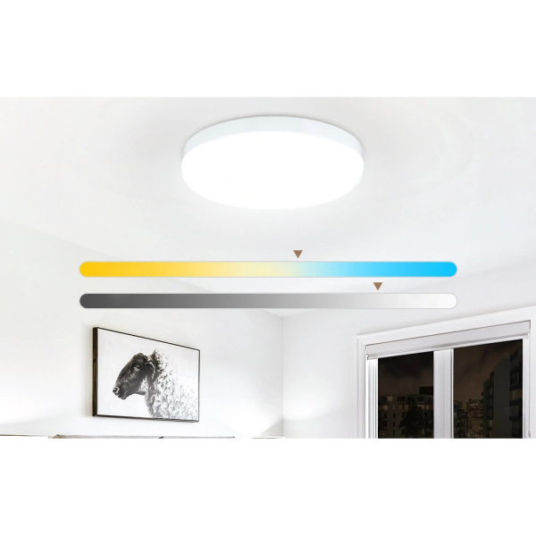 BlitzWolf Πλαστική Πλαφονιέρα Οροφής LED με Τηλεχειριστήριο 24W 2200lm 23cm BW-LT38